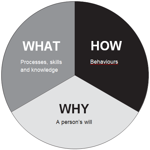 What How Why Pie Chart