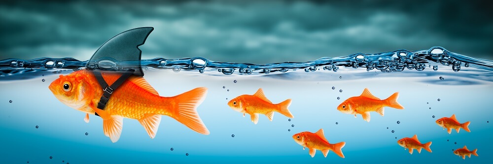 Competencies in Leadership