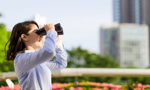 Observations and Insights on Selling