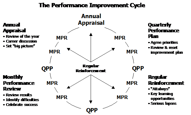 The Performance Improvement Cycle Chart