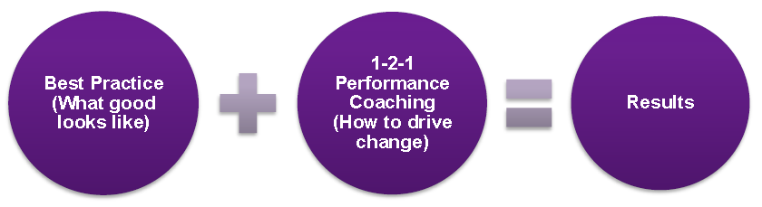 How Licence to Coach™ Works